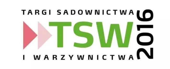 logo tsw