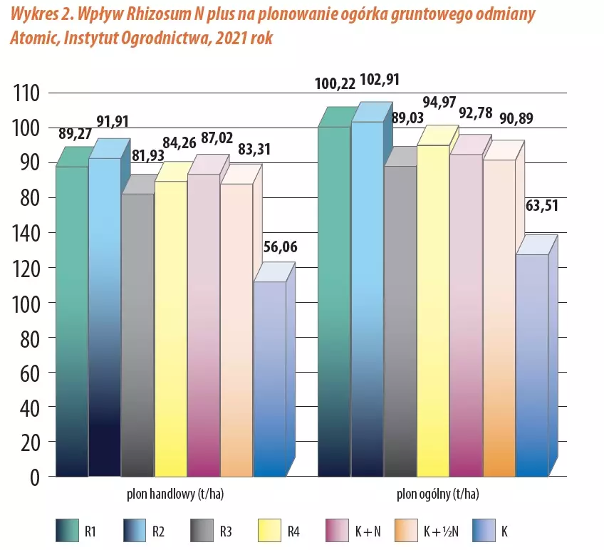 Wykres 2. Wpływ Rhizosum N plus na plonowanie ogórka gruntowego odmianyAtomic, Instytut Ogrodnictwa, 2021 rok