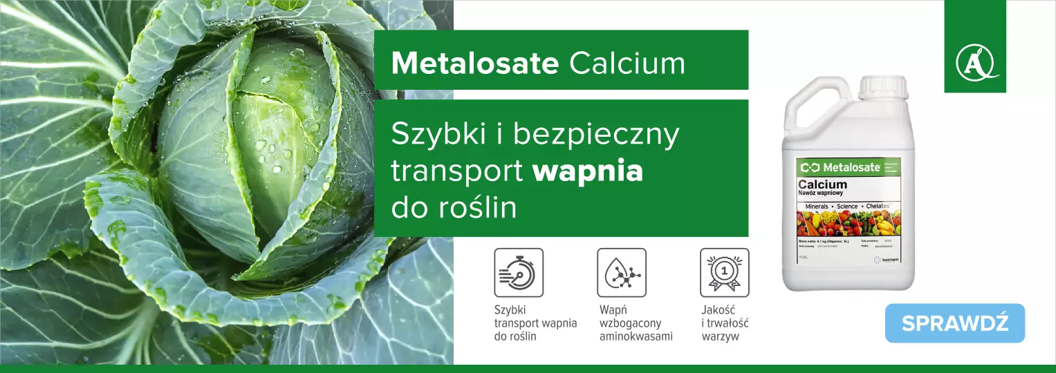 Metalosate Calcium